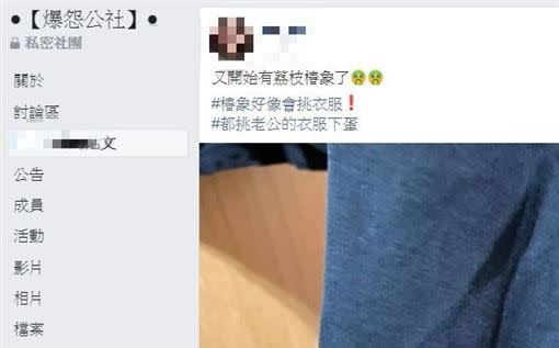 是荔枝椿象的卵。（圖／翻攝自爆怨公社）