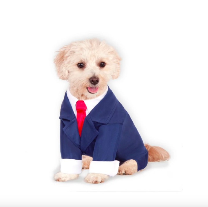 Business Suit Dog Costume