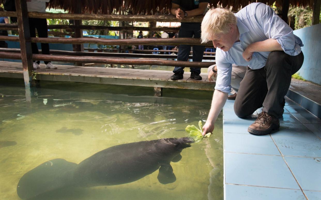 Boris Johnson feeds a manatee - PA