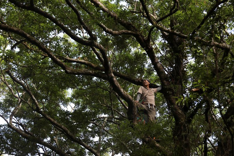 The Wider Image: Taiwan plant hunters race to collect rare species before they are gone