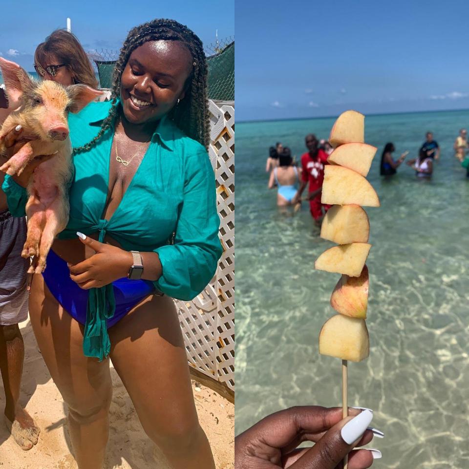 A composite of Christina Jane holding up a pig on a sandy beach and a stick covered with pieces of apple.