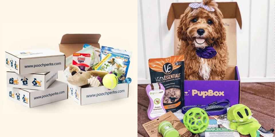 These Dog Subscription Boxes Are Perfect for the Ultimate Pet Lover