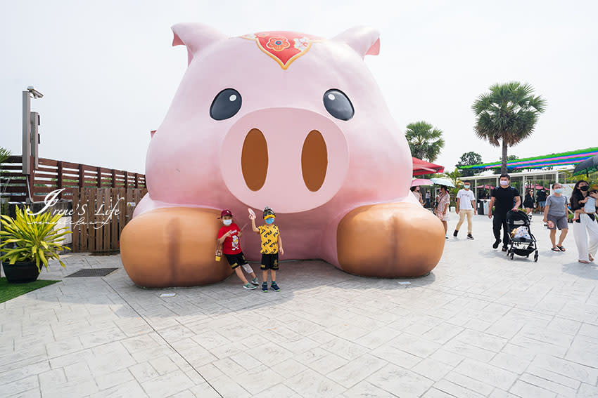 嘉義民雄｜三隻小豬觀光農場