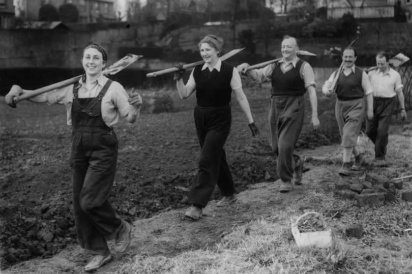 Austrian refugees, pictured in March 1940, off to work on an allotment at West Didsbury, Manchester during the Second World War -Credit:Getty Images