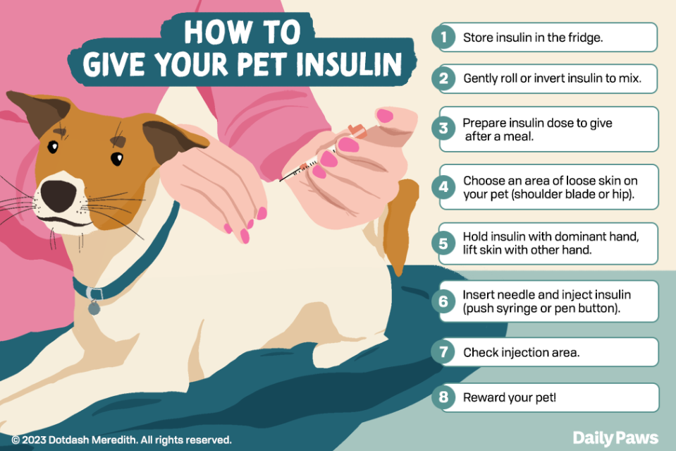 how to give pet insulin