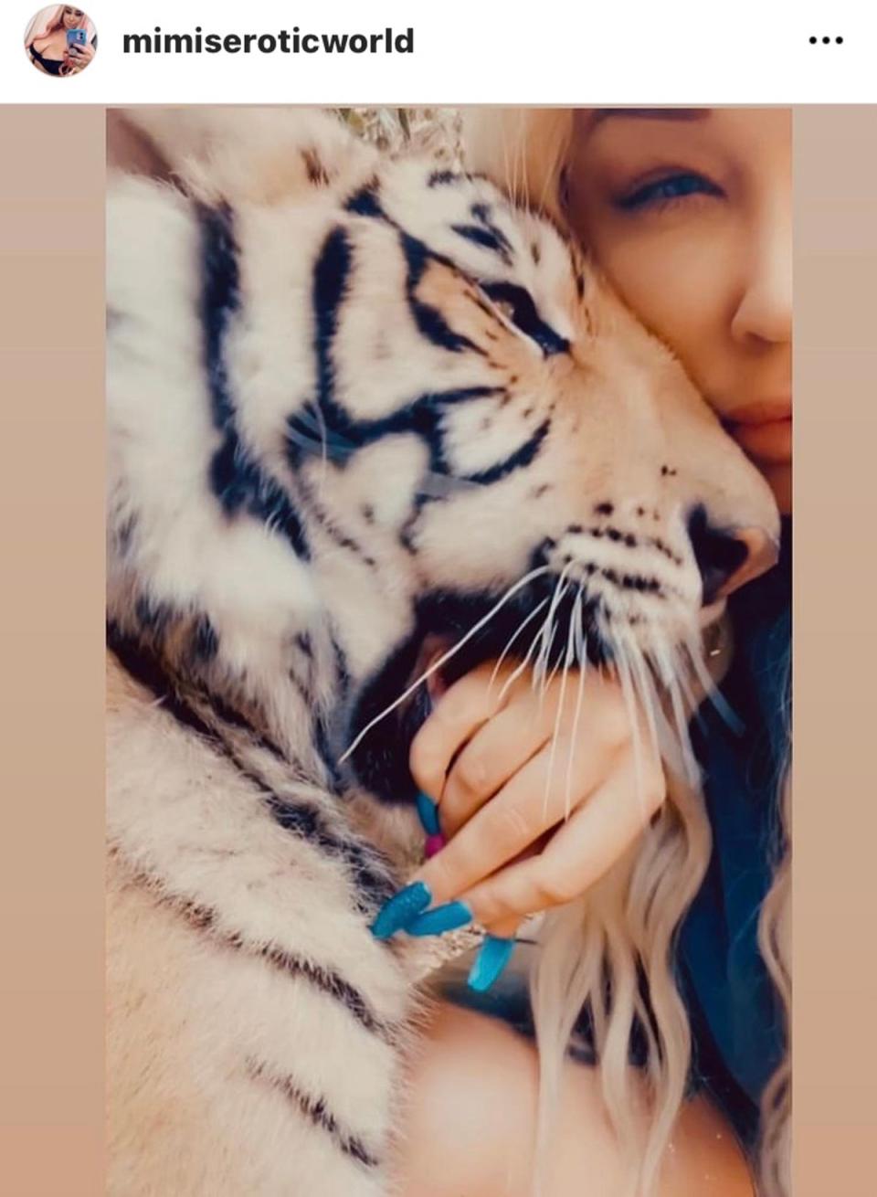 In 2016, Meyer was found to have animals including a cougar, a skunk, monkeys, three tiger cubs and a large adult male tiger in her Houston home (Instagram/mimiseroticworld)