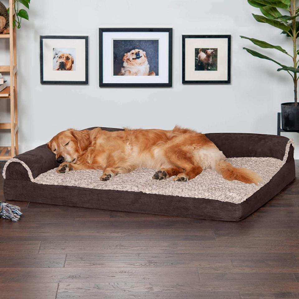 <p>Treat your pet to luxury with this soft and plush <span>Furhaven Orthopedic, Cooling Gel, and Memory Foam Pet Beds</span> ($20-$98, originally $22-$115). It comes in several sizes and styles for your pets' needs. It's great for joint support and gives them a refreshing cool feeling for the warmer months.</p>