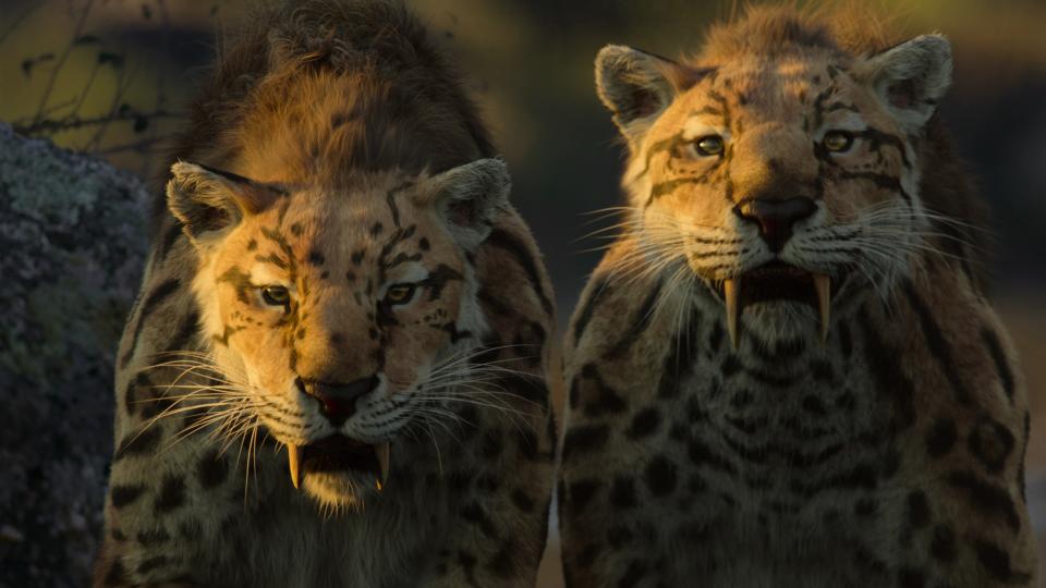 Prehistoric big cats in Life On Our Planet