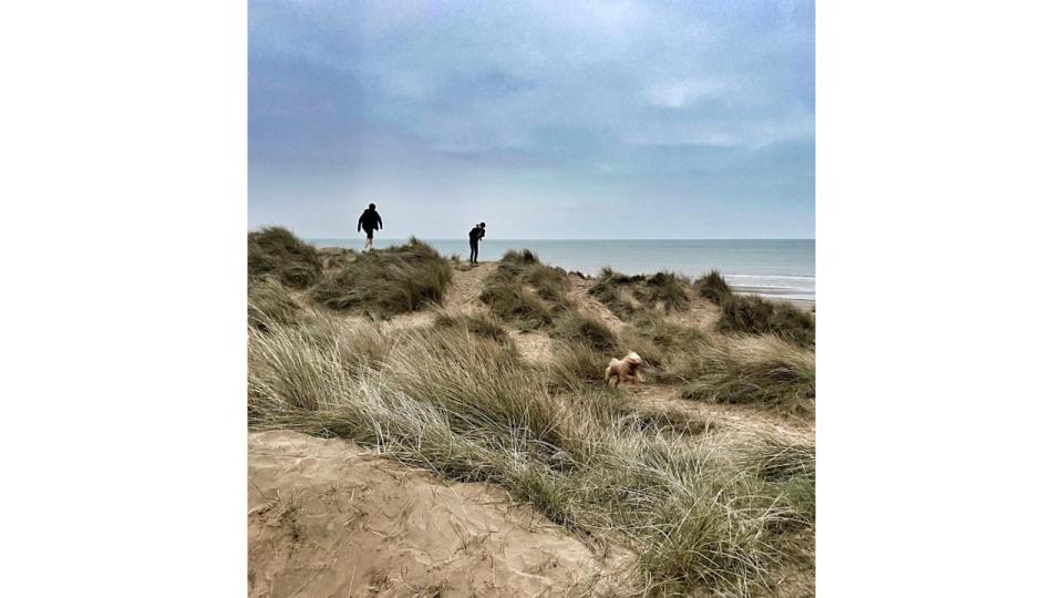 Two children and a dog on a beach