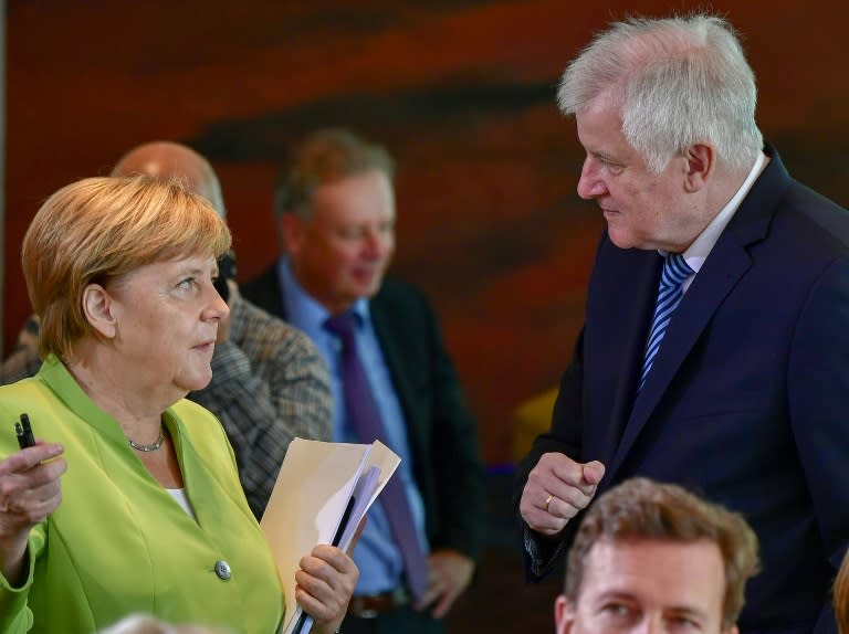 German Interior Minister Horst Seehofer is one of Chancellor Angela Merkel's most vocal critics in the cabinet