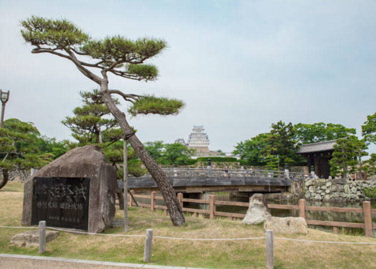 ▲從姬路城裡的姬路公園入口就可以看到大天守的雄姿了