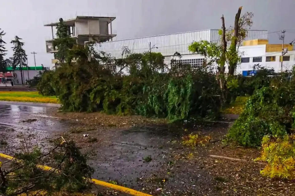 Mueren dos personas por un tornado en Toluca, Edomex; reportan caída de árboles y falta de electricidad