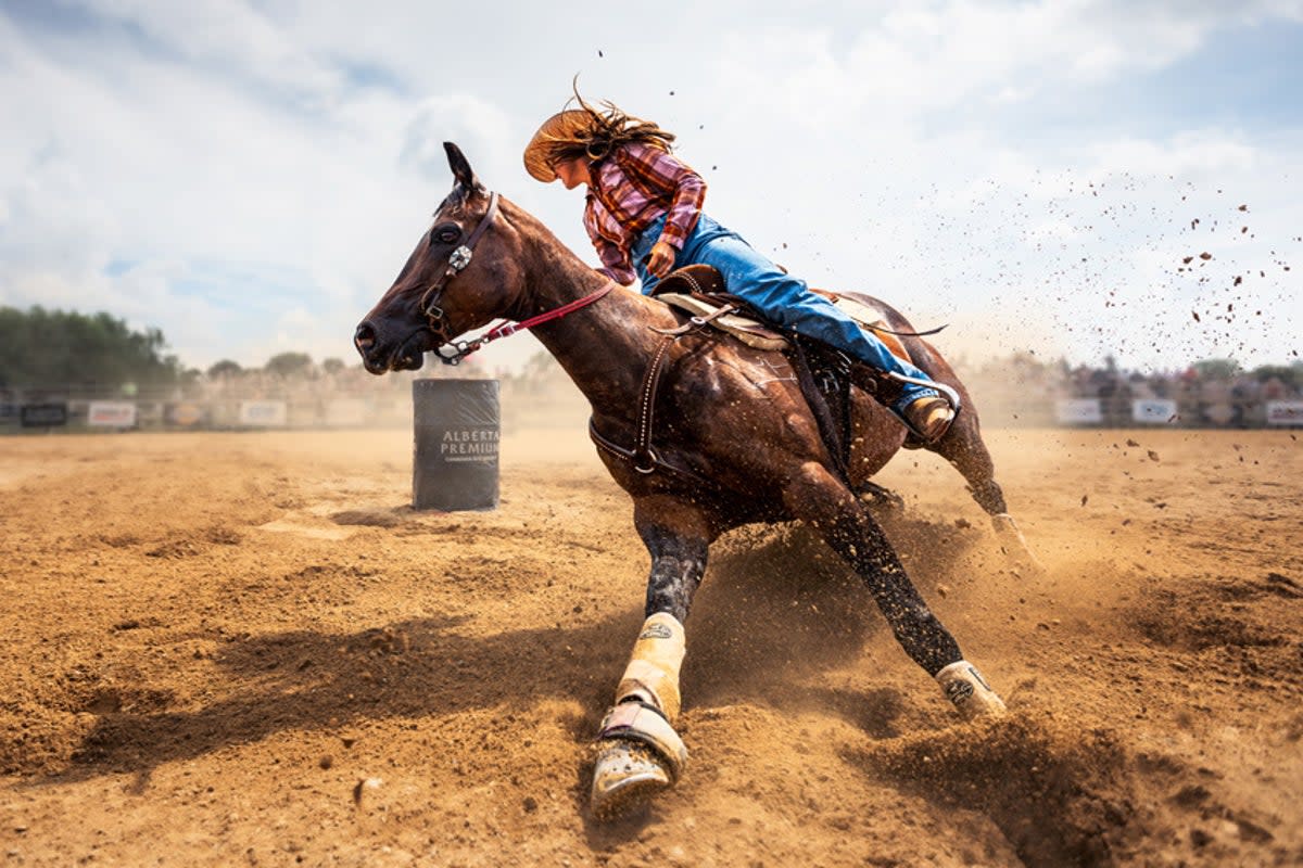 Winner of the motion category (Zhenhuan Zhou)