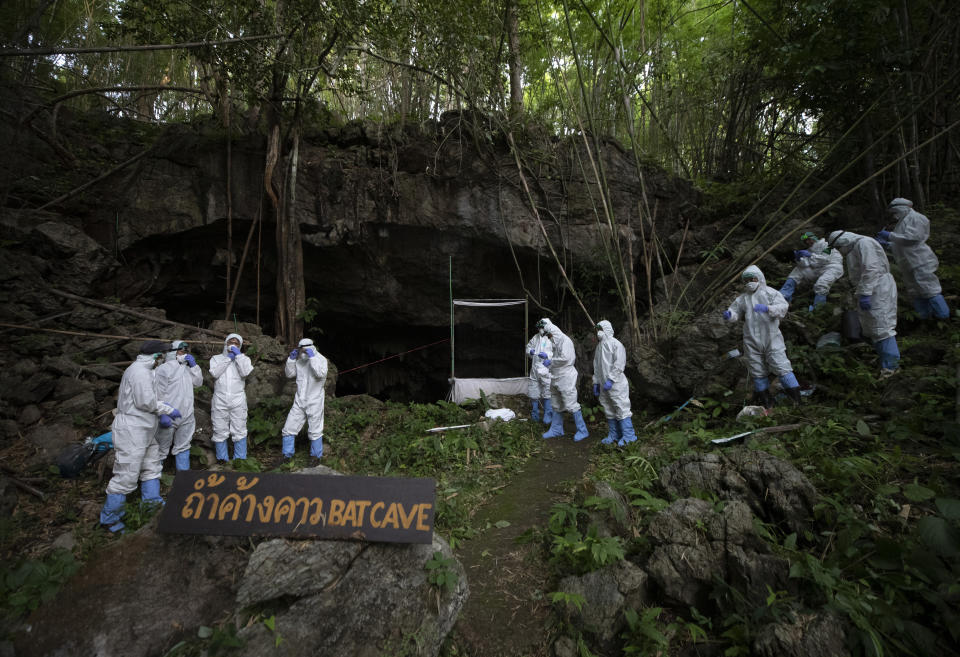 Researchers putting on PPE suits and standing in front of cave prepare catch bat inside Sai Yok National Park in Kanchanaburi province, west of Bangkok, Thailand, Friday, July 31, 2020. Researchers in Thailand have been trekking though the countryside to catch bats in their caves in an effort to trace the murky origins of the coronavirus.(AP Photo/Sakchai Lalit)