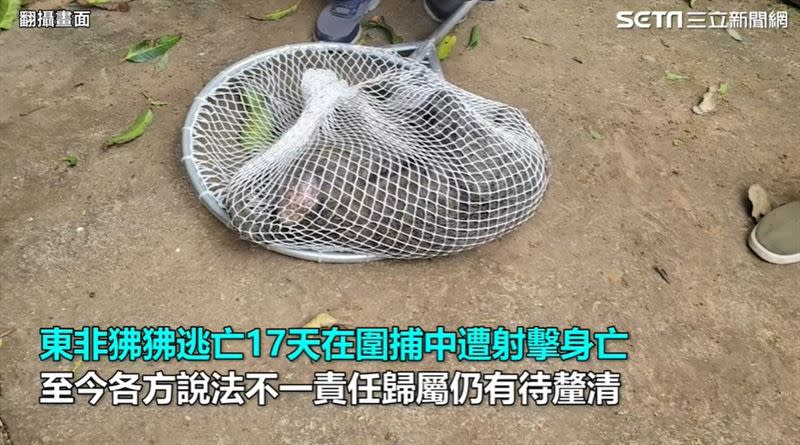  師大永續管理與環境教育研究所所長方偉達：狒狒慘死是世界醜聞，該撤六福村國家環境教育獎。 （圖／三立新聞網資料照）