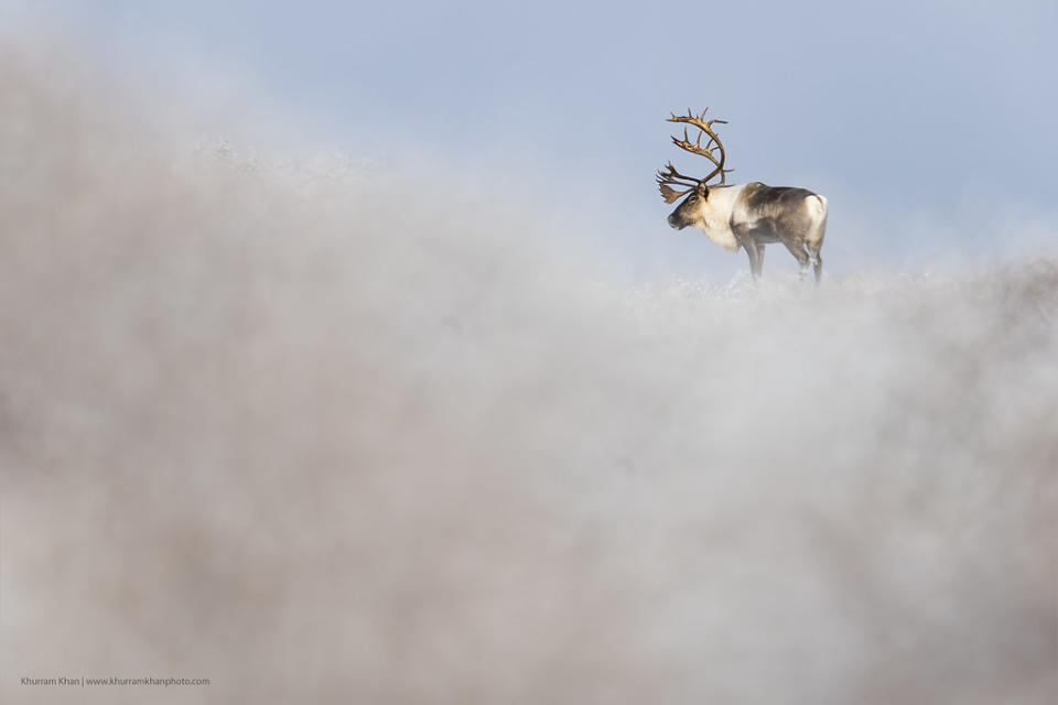 In pics: Flickr's top 25 photos of the year