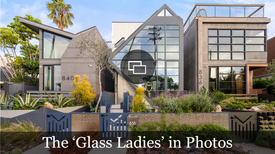 Glass Ladies Houses Venice Beach