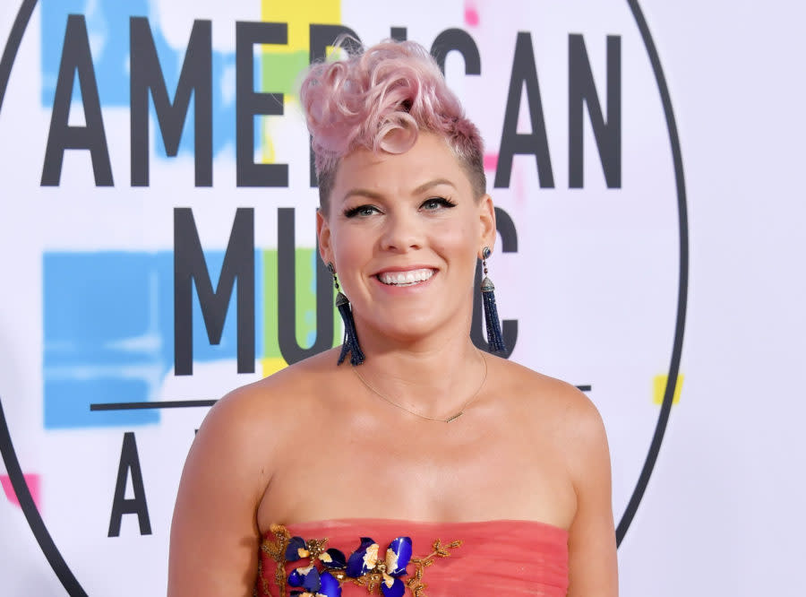 People are saying Pink “cringed” during Christina Aguilera’s AMAs performance, and Pink is not here for the rumors
