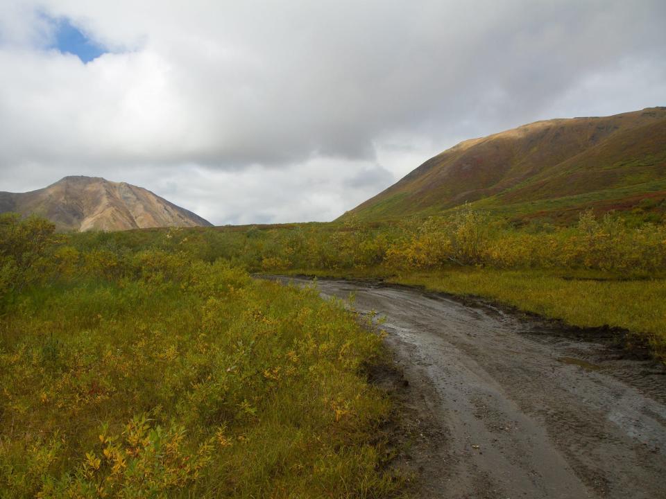 A road through a green field under a cloudy sky.