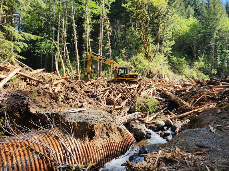 A massive debris flow has closed the North Fork Siletz River Road in a remote part of the Coast Range, which blocks access to the popular Valley of the Giants hiking trail.