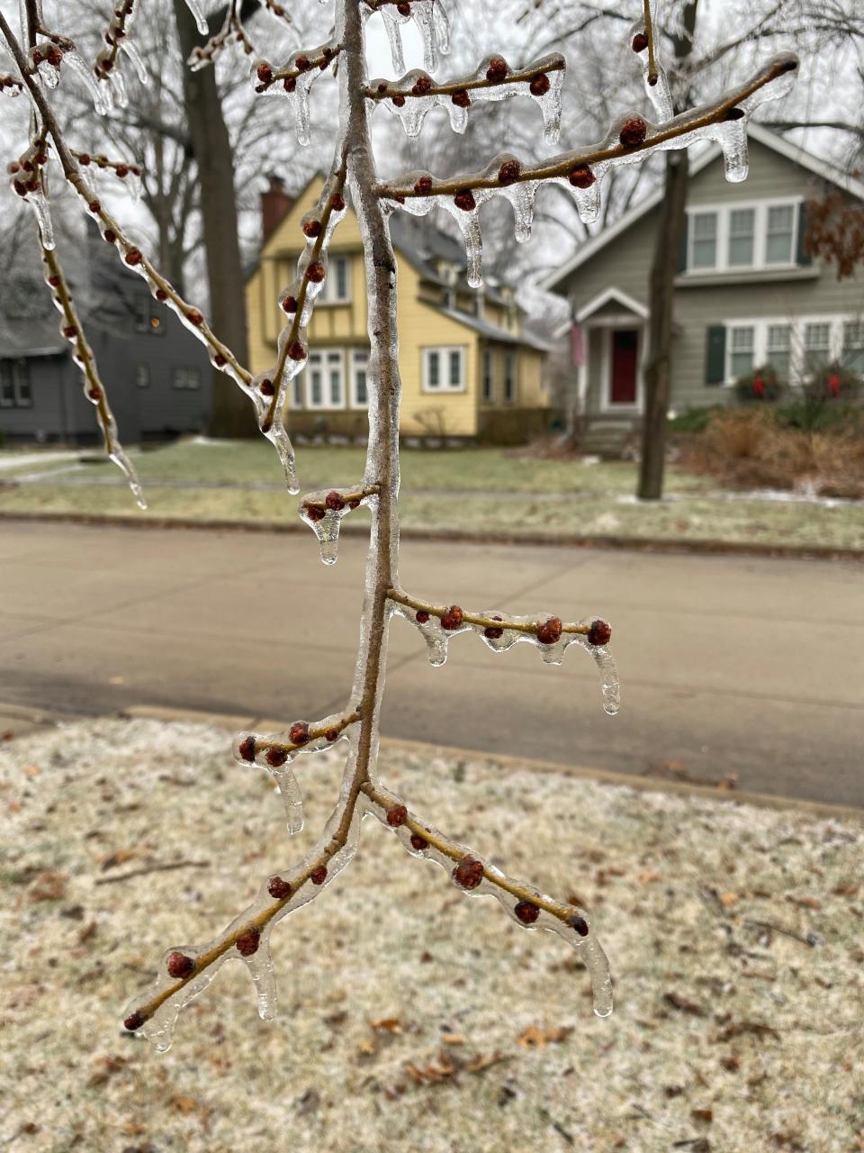 Ice-coated trees, cars, homes and power lines, causing hundreds of thousands of Michiganders to lose electricity Thursday.