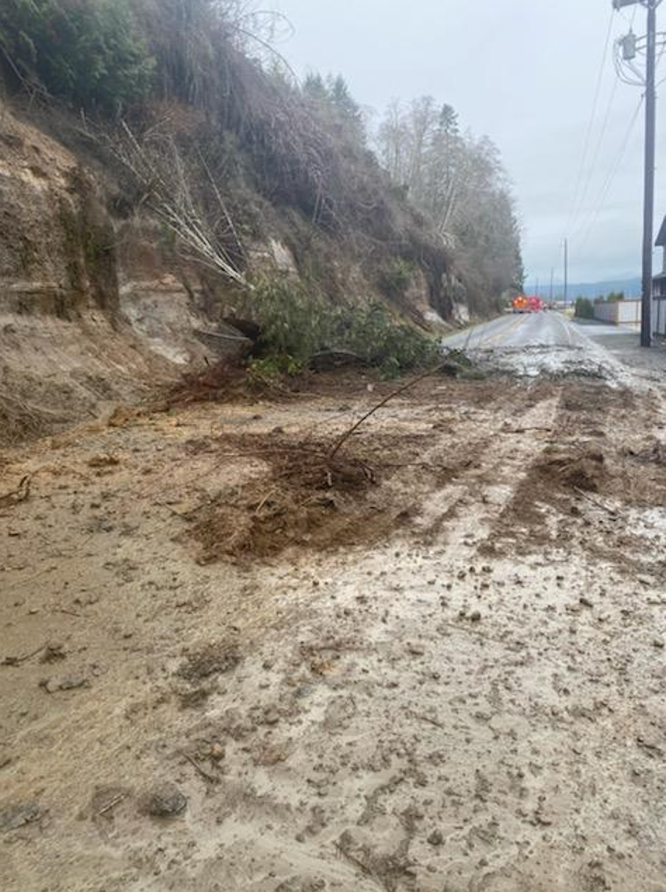 A mudslide blocked a major roadway in Mason County, Washington on Sunday (Washington State Department of Transportation)