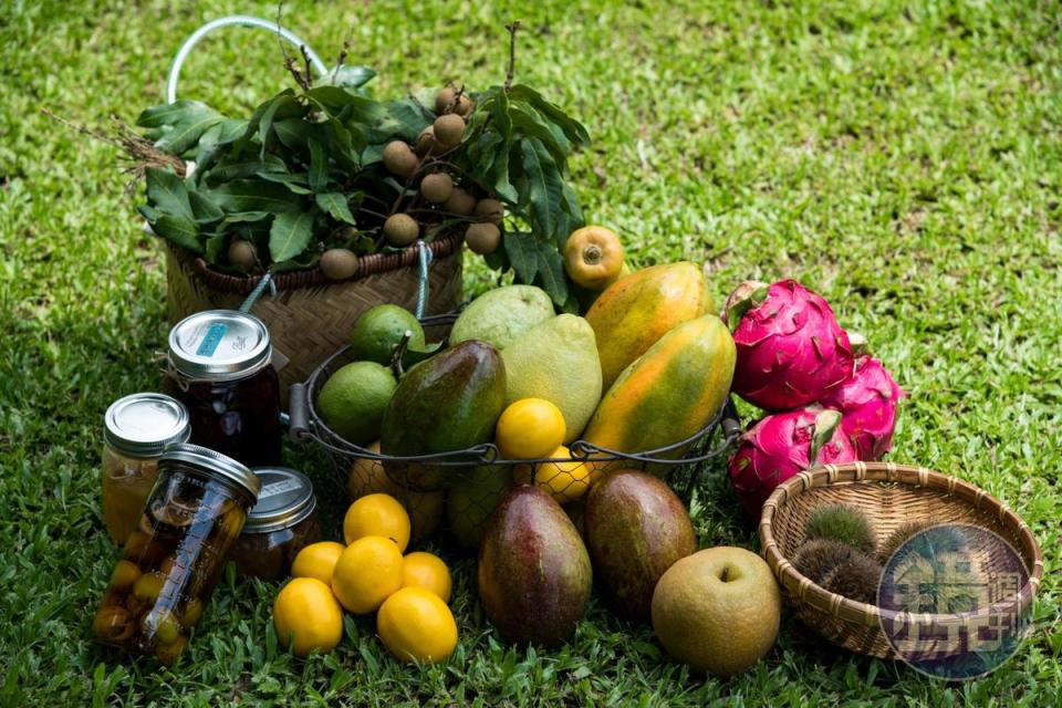 水果品牌「知果堂」從各地找來好水果，是提供水果及土地故事的平台。 