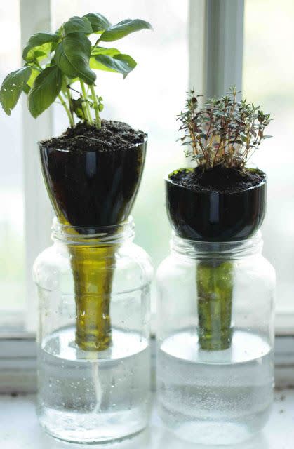 Self-Watering Planter