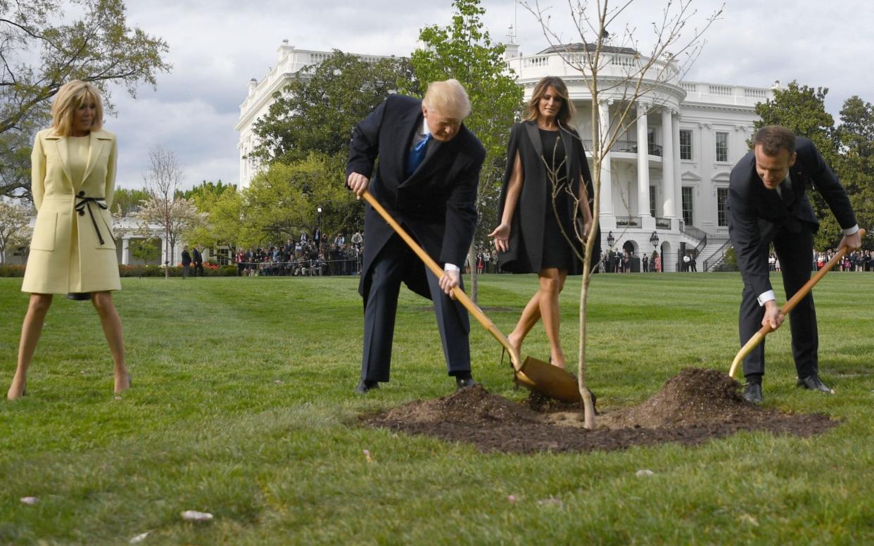 Donald Trump and Emmanuel Macron plant a tree on the grounds of the White House, as their wives watched on  - AFP