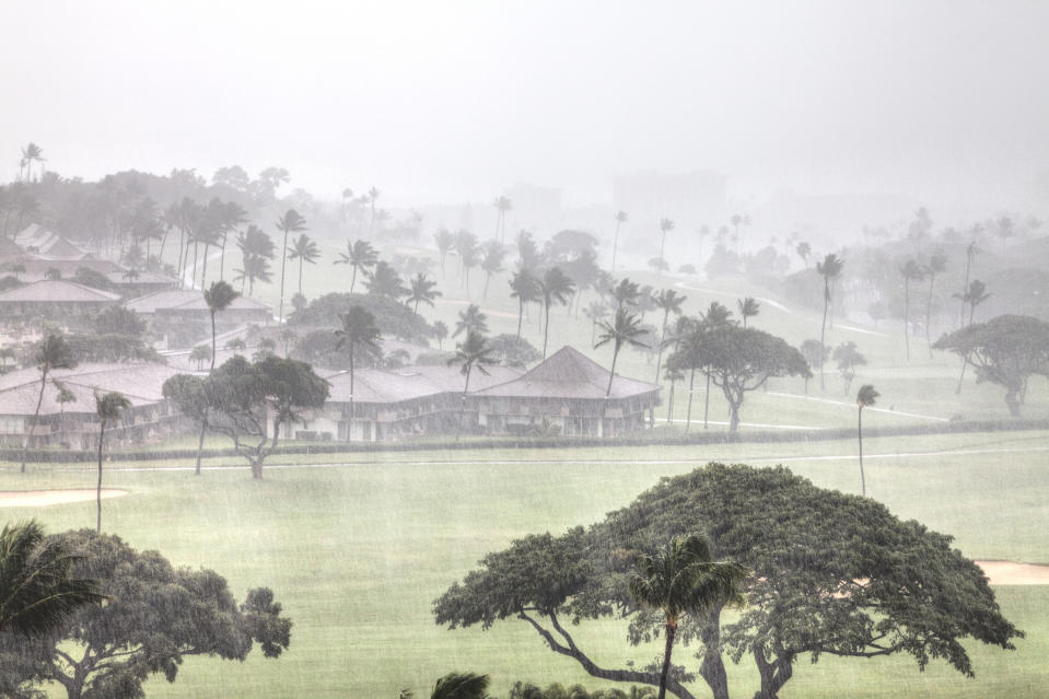 Golf course view with trees and buildings during heavy mist or rain