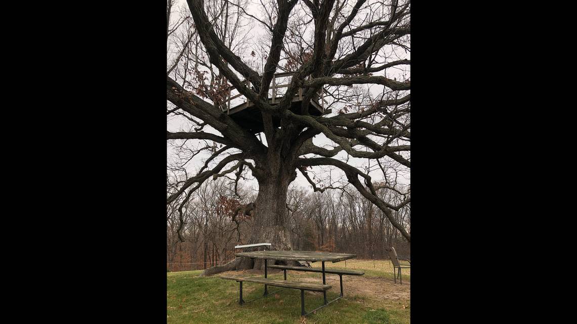 We camped in the “Big Oak Treehouse,” a privately owned spot to pitch a tent just southwest of Columbia. We ate our Baba’s Thanksgiving feast at the picnic table under the tree.