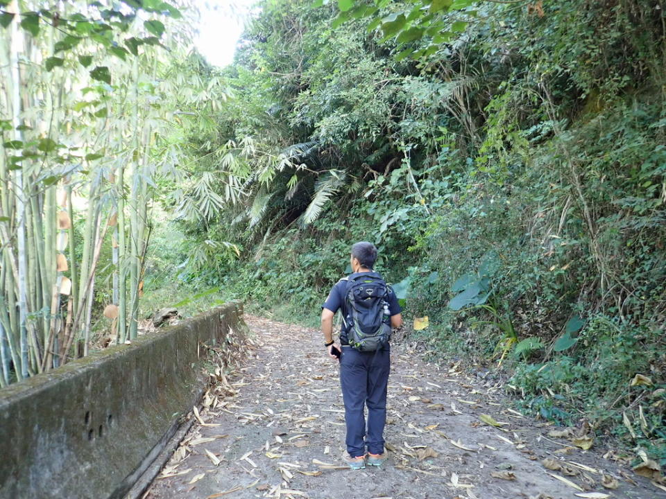 屯阿巴娜步道