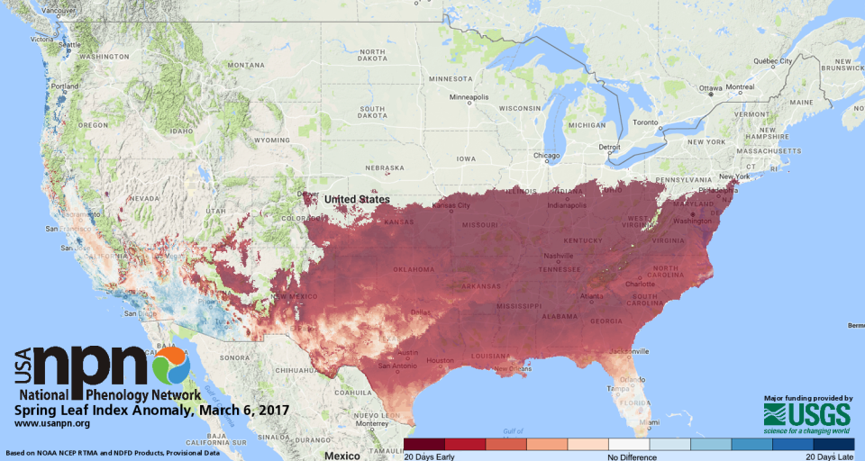 six leaf index anomaly