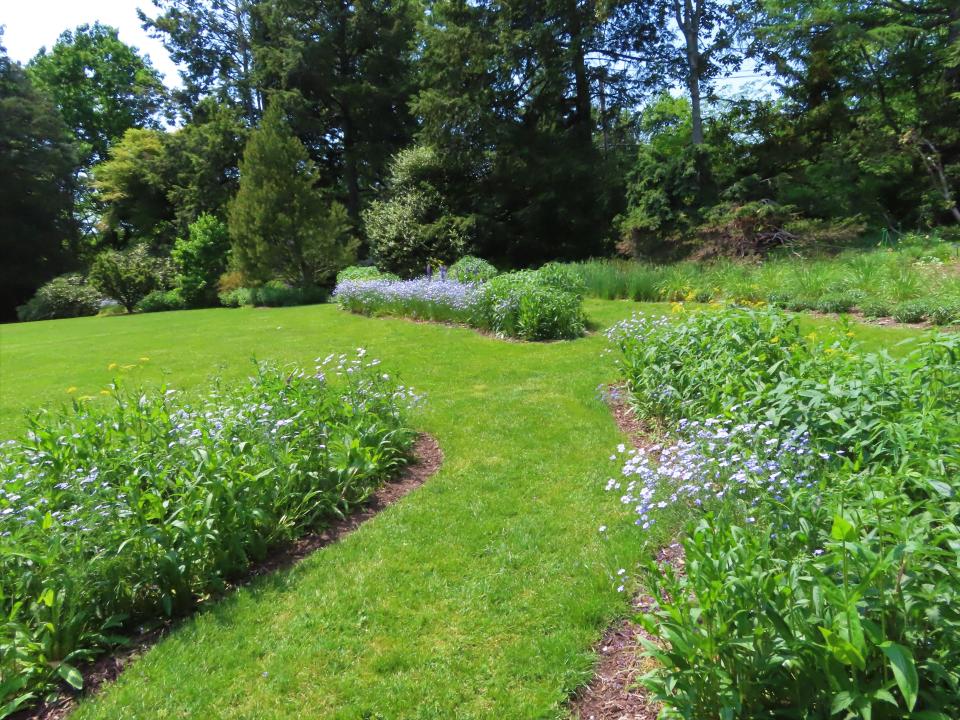 The wildflower garden at the Van Vleck House & Gardens.