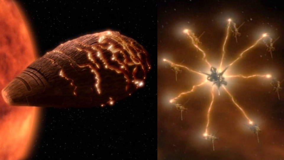 Split screen of biological ships, on the left from Star Trek The Next Generation and on the right from Voyager