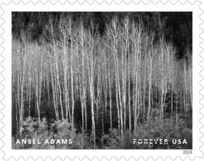 El Servicio Postal de EE. UU. revela estampillas adicionales para 2024 - Estampilla de Ansel Adams - Crédito de la imagen: Servicio Postal de EE. UU.