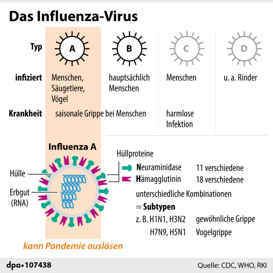 Typen und Varianten von Influenza-Viren. (Grafik/Redaktion: A:. Brühl)