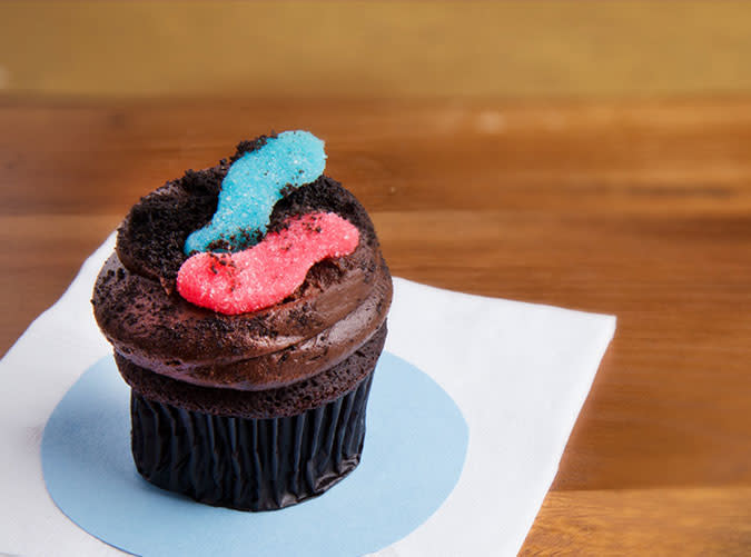 Dirt Cupcake (Sweet by Holly, FL)