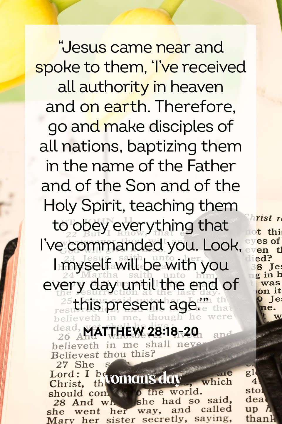 33) Matthew 28:18-20