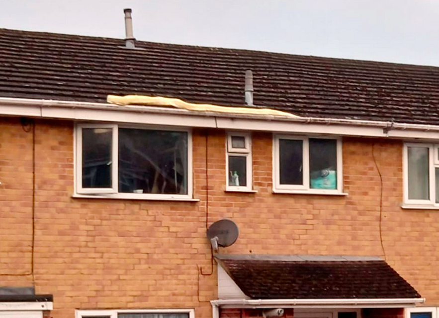 Residents spotted the Burmese Python slithering across rooftops. (Solent)