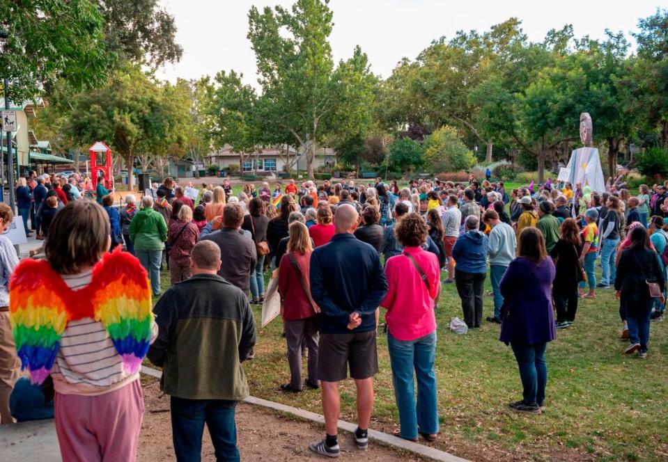Concerned citizens stand together in support of the LGBTQ community at Davis’ Central Park on Tuesday in the wake of recent bomb threats made at city schools and its main library.