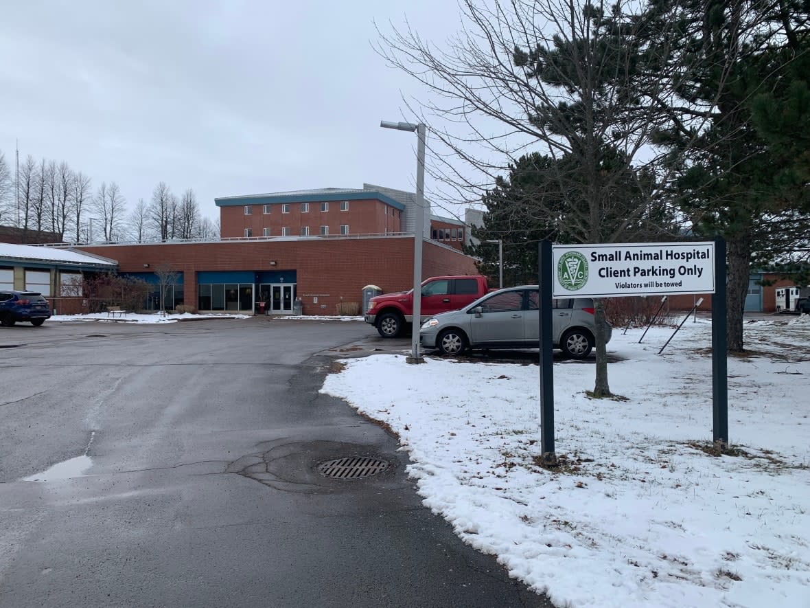 Assistant dean Heather Gunn McQuillan said they are facing 'a critical staffing shortage.' (Laura Meader/CBC - image credit)