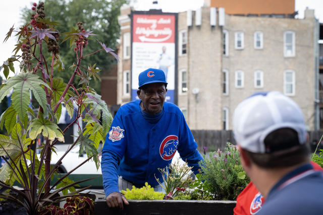 ABC News: Steve Bartman to receive a World Series ring. 