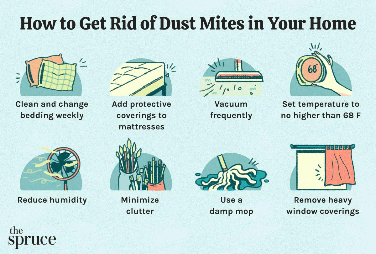 12 Ways To Get Rid Of Dust Mites In