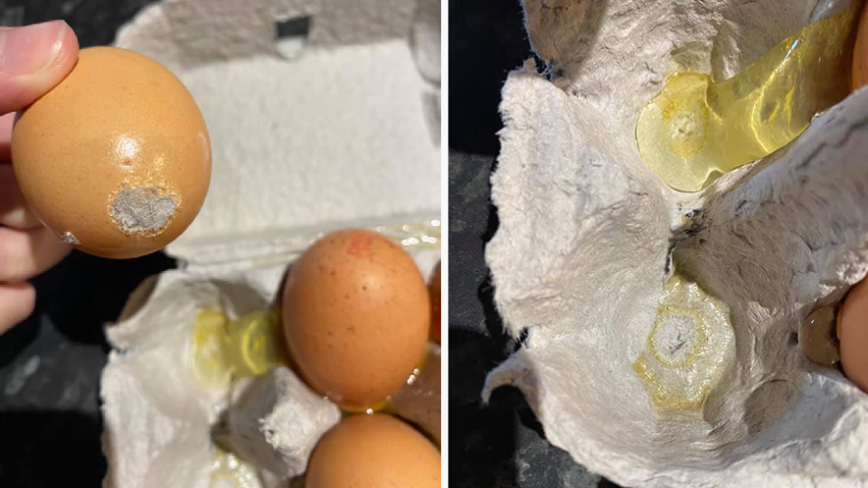 Image of egg with cardboard stuck to bottom and Woolworths egg carton with broken eggs