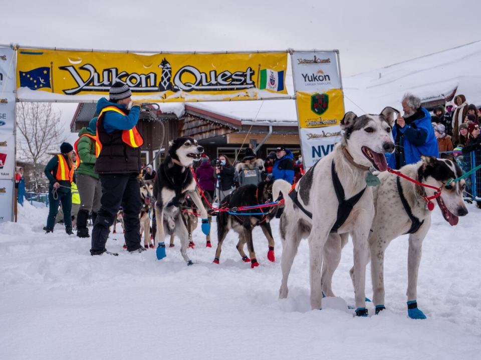 The Yukon Quest start line in Shipyards Park, pictured in 2022. This year the race will kick off from Suncatchers Inn Cattery on Takhini River Road.