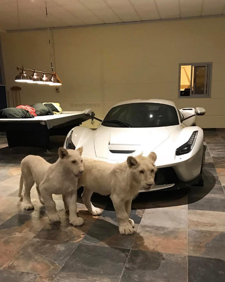 <p>Spielzeuge eines Multimillionärs auf edlem Marmorboden: Ein Billardtisch, ein schnelles Auto und zwei Schmusekatzen. Übrigens sind weiße Löwen überaus selten. In freier Natur haben es die Tiere schwer, zu überleben, da sie durch ihr auffälliges Fell für Angreifer schneller zu sehen sind. (Bild: Instagram/superrichclub) </p>