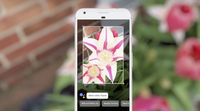 Google S New Visual Recognition App Can