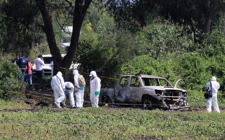 Forensic technicians work at a crime scene where nine people were found dead in the municipality of Cuitzeo, in Mexico's western state of Michoacan, July 30, 2016. REUTERS/Fernando Maldonado