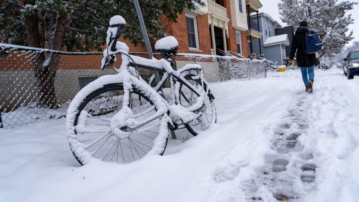 Ottawa hasn't had much precipitation lately, with one short-lived snowfall Dec. 4 and a rainstorm Dec. 18. (Francis Ferland/CBC - image credit)